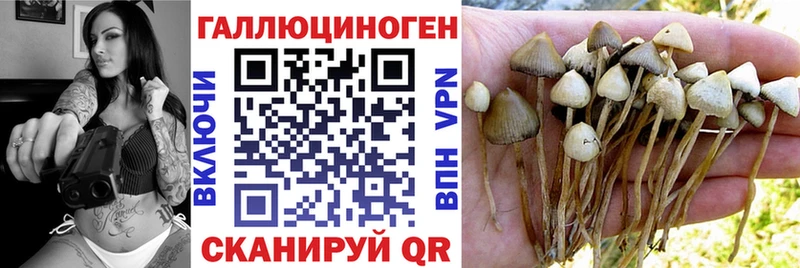 Псилоцибиновые грибы MAGIC MUSHROOMS  Дно 